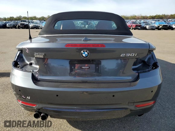 2020 BMW 2 Series 230i xDrive with VIN WBA2K1C05L7E82304, listed as a Copart auction lot 82746333 with 33,033 mi miles. Bid and sale history available at carsss.com. Image 6.