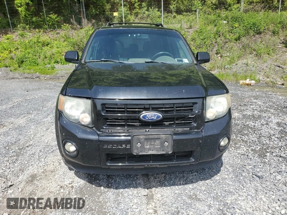 2010 Ford Escape XLT с VIN 1FMCU9DG1AKD04629, выставлен на аукционе Copart как лот 58465055 с пробегом 215 396 миль миль и Списание • Salvage title. История ставок и продаж доступна на DreamBid. Изображение 5.