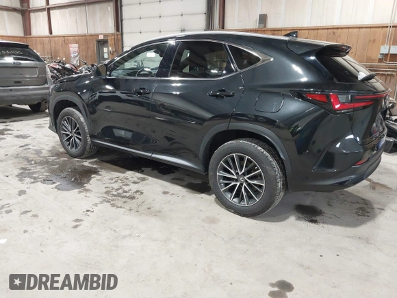 2022 Lexus NX with VIN JTJAGCEZ0N2003241, listed as a IAAI auction lot 41509411 with 53,287 mi miles. Bid and sale history available at carsss.com. Image 3.