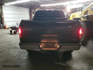 2016 Ford F-150 XLT with VIN 1FTEW1EF3GKE76491, listed as a Copart auction lot 45911015 with 116,881 mi miles and Salvage Title. Bid and sale history available at carsss.com. Image 6.
