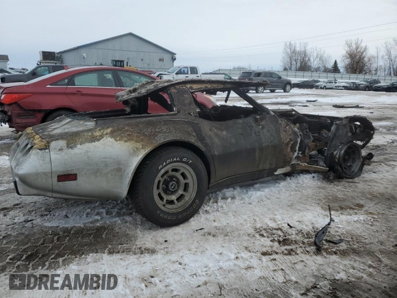 1978 Chevrolet Corvette z VIN 1Z87L8S408161, wystawiony jako Copart lot #42290205 z przebiegiem Nie podano mil oraz Czysty tytuł • Clean title. Historia ofert i sprzedaży dostępna na DreamBid. Obrazek 3.