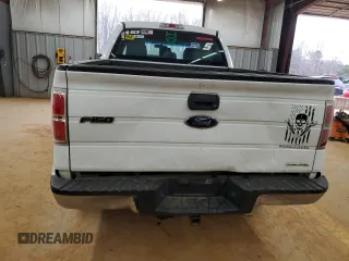 2013 Ford F-150 XL with VIN 1FTFX1EF9DFA16015, listed as a Copart auction lot 46990295 with 244,997 mi miles and Salvage Title. Bid and sale history available at carsss.com. Image 6.