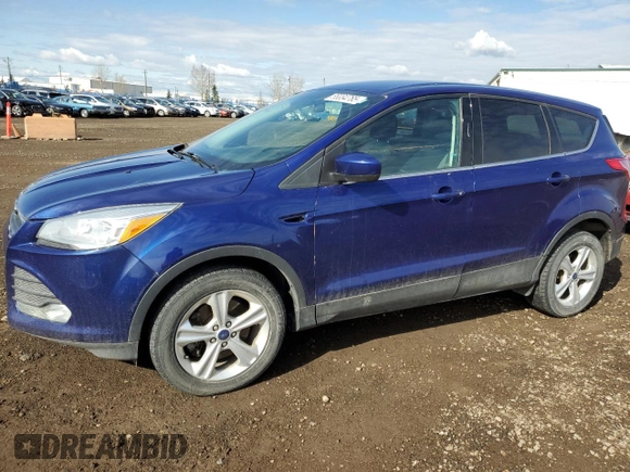 2014 Ford Escape SE with VIN 1FMCU9GX2EUA64657, listed as a Copart auction lot 55334765 with 116,504 mi miles and Clean Title. Bid and sale history available at carsss.com. Image 1.