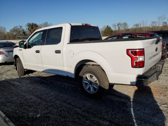 2019 Ford F-150 XL with VIN 1FTEW1CP7KFB76563, listed as a Copart auction lot 50186105 with 84,375 mi miles and Salvage Title. Bid and sale history available at carsss.com. Image 2.