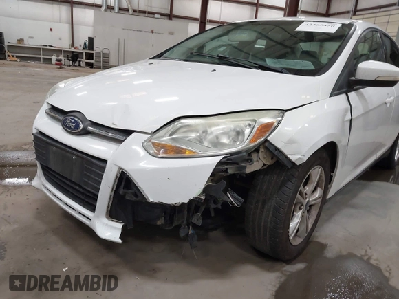 2013 Ford Focus SE with VIN 1FADP3F21DL341649, listed as a IAAI auction lot 42465450 with 180,219 mi miles and . Bid and sale history available at DreamBid. Image 6.