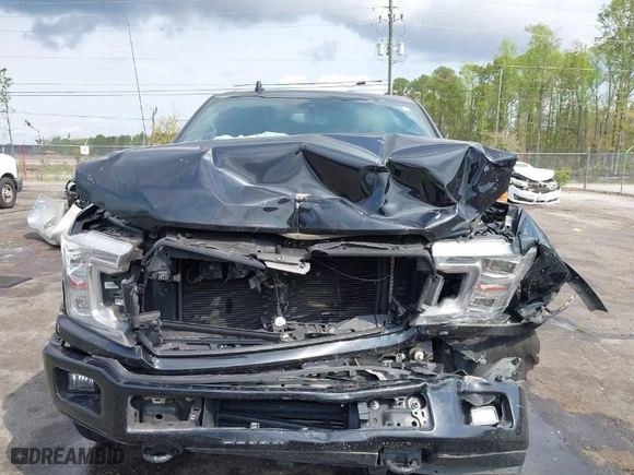 2018 Ford F-150 XL with VIN 1FTEW1EG7JFD41376, listed as a IAAI auction lot 41865285 with 144,362 mi miles. Bid and sale history available at carsss.com. Image 6.