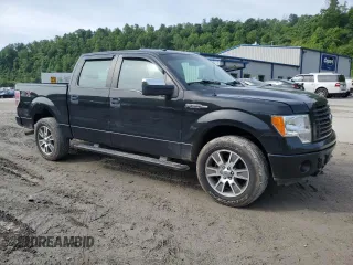 2014 Ford F-150 XL with VIN 1FTFW1EF4EFB23865, listed as a Copart auction lot 58557635 with 178,037 mi miles and Salvage title. Bid and sale history available at DreamBid. Image 4.