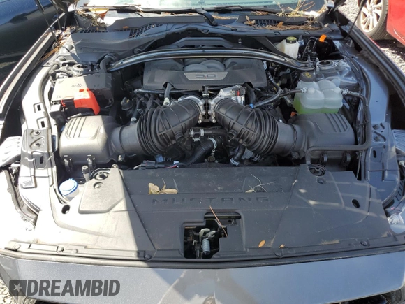 2024 Ford Mustang GT Premium with VIN 1FAGP8FF1R5123882, listed as a Copart auction lot 74846044 with Not provided miles and Salvage title. Bid and sale history available at DreamBid. Image 11.