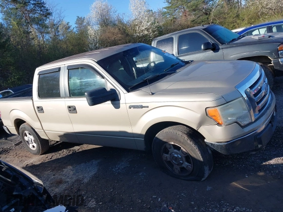 2010 Ford F-150 XL with VIN 1FTEW1C88AFA10043, listed as a IAAI auction lot 41764767 with 222,301 mi miles. Bid and sale history available at carsss.com. Image 13.