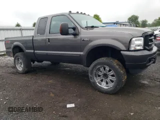 2004 Ford F-250 XL with VIN 1FTNX21L34EB78306, listed as a Copart auction lot 55999695 with 170,803 mi miles and Clean title. Bid and sale history available at DreamBid. Image 4.