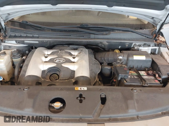 2007 Hyundai Entourage GLS with VIN KNDMC233576018334, listed as a IAAI auction lot 42302468 with 183,557 mi miles and . Bid and sale history available at DreamBid. Image 10.