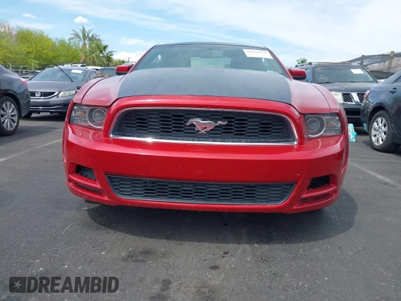 2013 Ford Mustang V6 with VIN 1ZVBP8AM1D5246288, listed as a IAAI auction lot 42024934 with 141,791 mi miles. Bid and sale history available at carsss.com. Image 6.