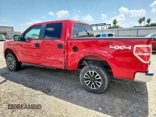 2009 Ford F-150 XL with VIN 1FTPW14V39KC73007, listed as a Copart auction lot 61447595 with 185,983 mi miles and Salvage title. Bid and sale history available at DreamBid. Image 2.