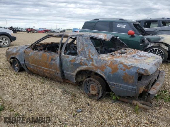 1989 Ford Mustang with VIN 1FABP40A8KF261788, listed as a Copart auction lot 59405875 with Not provided miles and Non repairable. Bid and sale history available at DreamBid. Image 2.