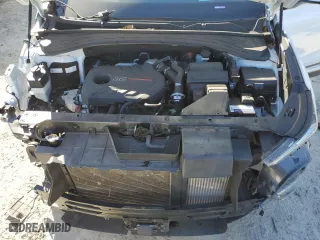 2019 Hyundai Santa Fe Limited with VIN 5NMS53AA1KH013247, listed as a Copart auction lot 87628385 with 66,022 mi miles and Salvage Title. Bid and sale history available at carsss.com. Image 12.