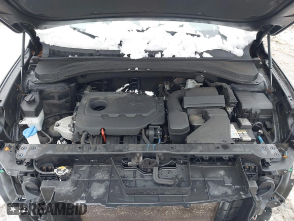 2019 Hyundai Santa Fe SE with VIN 5NMS2CAD9KH003200, listed as a IAAI auction lot 41541423 with 91,913 mi miles. Bid and sale history available at carsss.com. Image 10.