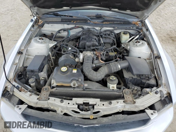 2005 Ford Mustang Deluxe с VIN 1ZVFT84N255187609, выставлен на аукционе Copart как лот 59868975 с пробегом Не указан миль и Чистый • Clean title. История ставок и продаж доступна на DreamBid. Изображение 11.