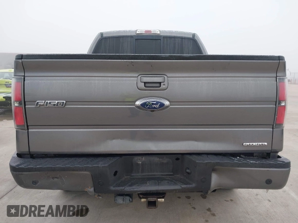 2013 Ford F-150 XL with VIN 1FTFW1CF2DFB82141, listed as a IAAI auction lot 41552919 with 226,921 mi miles. Bid and sale history available at carsss.com. Image 6.