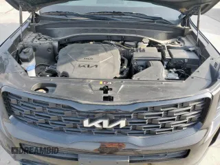 2022 Kia Telluride EX with VIN 5XYP3DHC6NG251537, listed as a Copart auction lot 54061075 with 16,931 mi miles and Salvage Title. Bid and sale history available at carsss.com. Image 12.