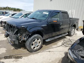 2010 Ford F-150 XL with VIN 1FTFW1EV2AFD23600, listed as a Copart auction lot 54312395 with 250,649 mi miles and Clean Title. Bid and sale history available at carsss.com. Image 1.