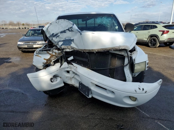 2001 Dodge Ram 1500 with VIN 1B7HC13Y01J200258, listed as a Copart auction lot 45881305 with 0 mi miles and Salvage Title. Bid and sale history available at carsss.com. Image 5.
