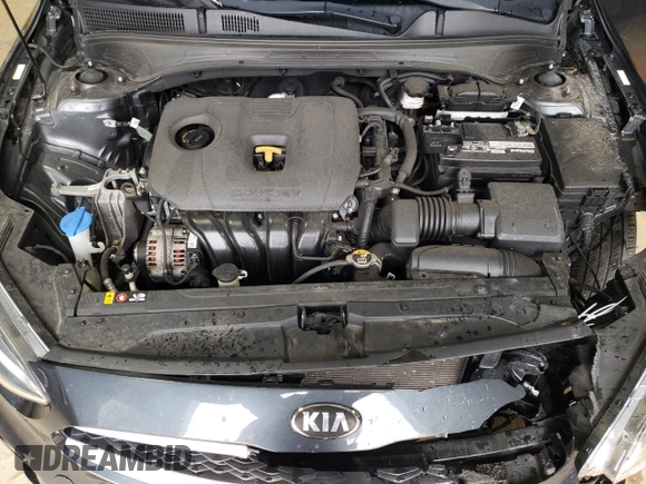 2019 Kia Forte LXS with VIN 3KPF24AD8KE106851, listed as a Copart auction lot 43610995 with 63,994 mi miles and Salvage Title. Bid and sale history available at DreamBid. Image 11.