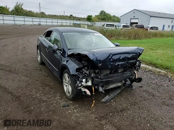 2013 Volkswagen CC Sport with VIN WVWBN7AN8DE508769, listed as a Copart auction lot 73142254 with 109,838 mi miles and Salvage Title. Bid and sale history available at carsss.com. Image 10.