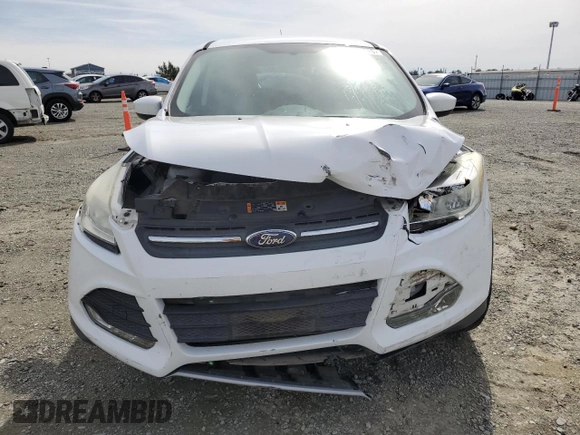 2014 Ford Escape SE with VIN 1FMCU0G93EUB17038, listed as a Copart auction lot 49819315 with 0 mi miles and Salvage Title. Bid and sale history available at carsss.com. Image 5.