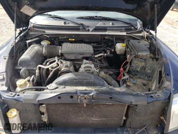 2005 Dodge Dakota SLT with VIN 1D7HE48N15S223063, listed as a Copart auction lot 43223535 with 167,501 mi miles and Salvage Title. Bid and sale history available at DreamBid. Image 11.