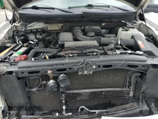 2009 Ford F-150 XL with VIN 1FTPW14V19FB11482, listed as a Copart auction lot 62647635 with 317,024 mi miles and Salvage title. Bid and sale history available at DreamBid. Image 11.