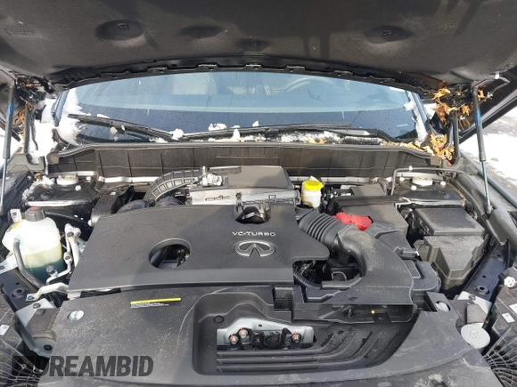 2024 Infiniti QX50 Sport with VIN 3PCAJ5FB7RF101400, listed as a IAAI auction lot 41488885 with 8,306 mi miles and . Bid and sale history available at DreamBid. Image 10.
