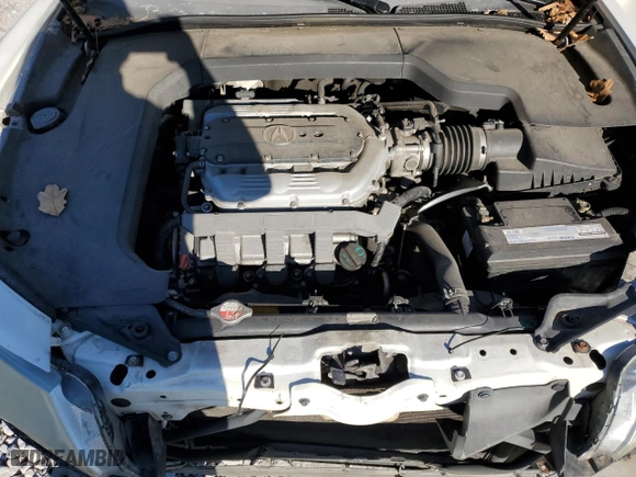 2009 Acura TL Tech with VIN 19UUA86579A021145, listed as a Copart auction lot 49802005 with 259,952 mi miles and Salvage Title. Bid and sale history available at carsss.com. Image 11.