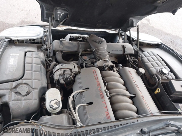 1998 Chevrolet Corvette with VIN 1G1YY22G6W5119662, listed as a IAAI auction lot 41808121 with 1 mi miles. Bid and sale history available at carsss.com. Image 10.
