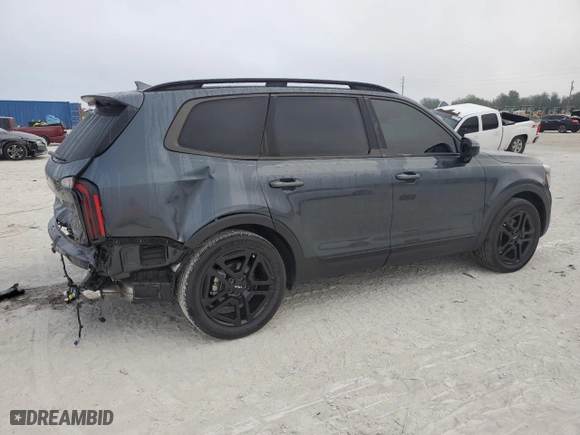 2024 Kia Telluride SX Prestige X-Pro with VIN 5XYP5DGC4RG540241, listed as a Copart auction lot 45094235 with 5,132 mi miles and Salvage Title. Bid and sale history available at carsss.com. Image 3.