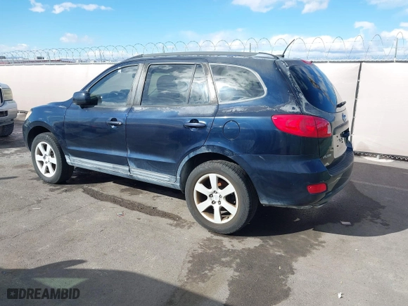 2008 Hyundai Santa Fe SE with VIN 5NMSH13E08H195074, listed as a IAAI auction lot 41745066 with 135,180 mi miles. Bid and sale history available at carsss.com. Image 3.