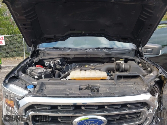 2021 Ford F-150 XL z VIN 1FTEW1CP7MKD20266, wystawiony jako IAAI lot #41618910 z przebiegiem 80 194 mil mil oraz . Historia ofert i sprzedaży dostępna na DreamBid. Obrazek 10.