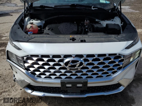 2022 Hyundai Santa Fe SEL with VIN 5NMS6DAJ6NH411044, listed as a Copart auction lot 52317385 with 44,482 mi miles and Salvage Title. Bid and sale history available at carsss.com. Image 13.