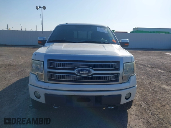 2010 Ford F-150 XL with VIN 1FTFW1EV9AFD87651, listed as a IAAI auction lot 41904402 with 174,333 mi miles. Bid and sale history available at carsss.com. Image 12.