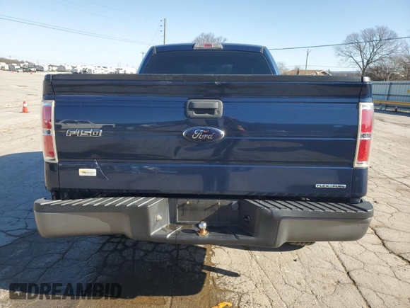 2013 Ford F-150 XL with VIN 1FTMF1CM9DKD34252, listed as a Copart auction lot 49175385 with 215,746 mi miles and Salvage Title. Bid and sale history available at carsss.com. Image 6.