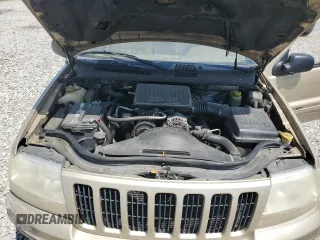 2000 Jeep Grand Cherokee Limited z VIN 1J4GW58N0YC272532, wystawiony jako Copart lot #57524225 z przebiegiem 238 921 mil mil oraz Szkoda całkowita • Salvage title. Historia ofert i sprzedaży dostępna na DreamBid. Obrazek 12.