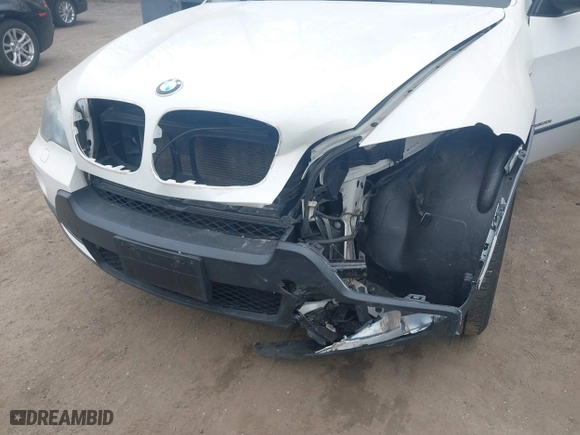 2009 BMW X5 30i with VIN 5UXFE43599L268484, listed as a IAAI auction lot 41656318 with 140,025 mi miles. Bid and sale history available at carsss.com. Image 6.