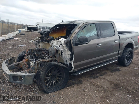 2019 Ford F-150 XL with VIN 1FTEW1E57KFB27309, listed as a IAAI auction lot 41847423 with Not provided miles and . Bid and sale history available at DreamBid. Image 2.