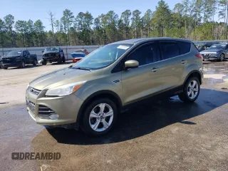 2013 Ford Escape SE with VIN 1FMCU0G97DUA71017, listed as a Copart auction lot 48805535 with 182,909 mi miles and Salvage Title. Bid and sale history available at DreamBid. Image 1.