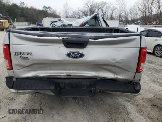 2017 Ford F-150 XL with VIN 1FTMF1EF9HKD68115, listed as a Copart auction lot 42555835 with Not provided miles and Salvage title. Bid and sale history available at DreamBid. Image 6.