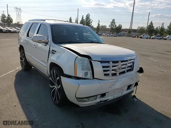 2010 Cadillac Escalade Premium with VIN 1GYUKCEF8AR163982, listed as a Copart auction lot 74268404 with 199,473 mi miles and Salvage Title. Bid and sale history available at carsss.com. Image 12.