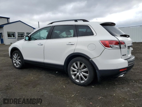 2009 Mazda CX-9 Touring with VIN JM3TB38V190176519, listed as a Copart auction lot 51087505 with 123,771 mi miles and Salvage Title. Bid and sale history available at carsss.com. Image 2.