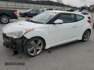 2013 Hyundai Veloster Turbo w/Black Int with VIN KMHTC6AE5DU142372, listed as a Copart auction lot 49794805 with 0 mi miles and Salvage Title. Bid and sale history available at carsss.com. Image 1.