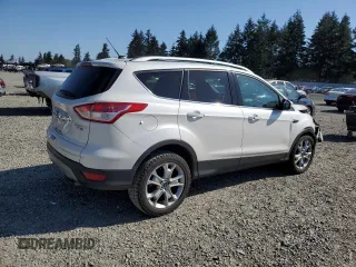 2016 Ford Escape Titanium with VIN 1FMCU9JX5GUC44579, listed as a Copart auction lot 54974965 with 113,776 mi miles and Salvage Title. Bid and sale history available at DreamBid. Image 3.