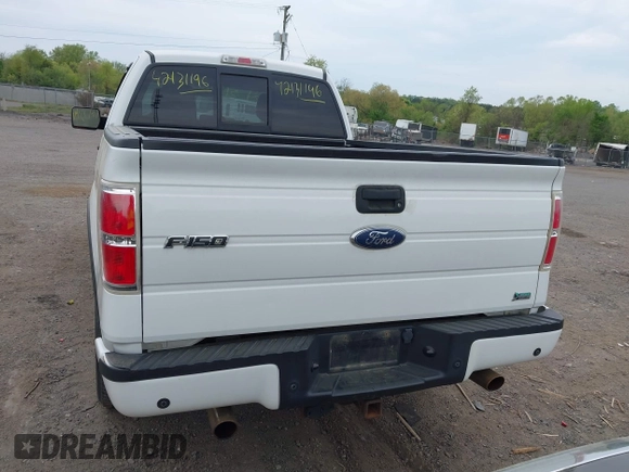 2010 Ford F-150 XL with VIN 1FTFX1EV2AFD40281, listed as a IAAI auction lot 42131196 with 169,058 mi miles. Bid and sale history available at carsss.com. Image 16.