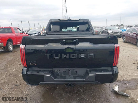 2024 Toyota Tundra 4WD Platinum with VIN 5TFNA5DB1RX222434, listed as a IAAI auction lot 40946913 with 2,594 mi miles. Bid and sale history available at carsss.com. Image 17.
